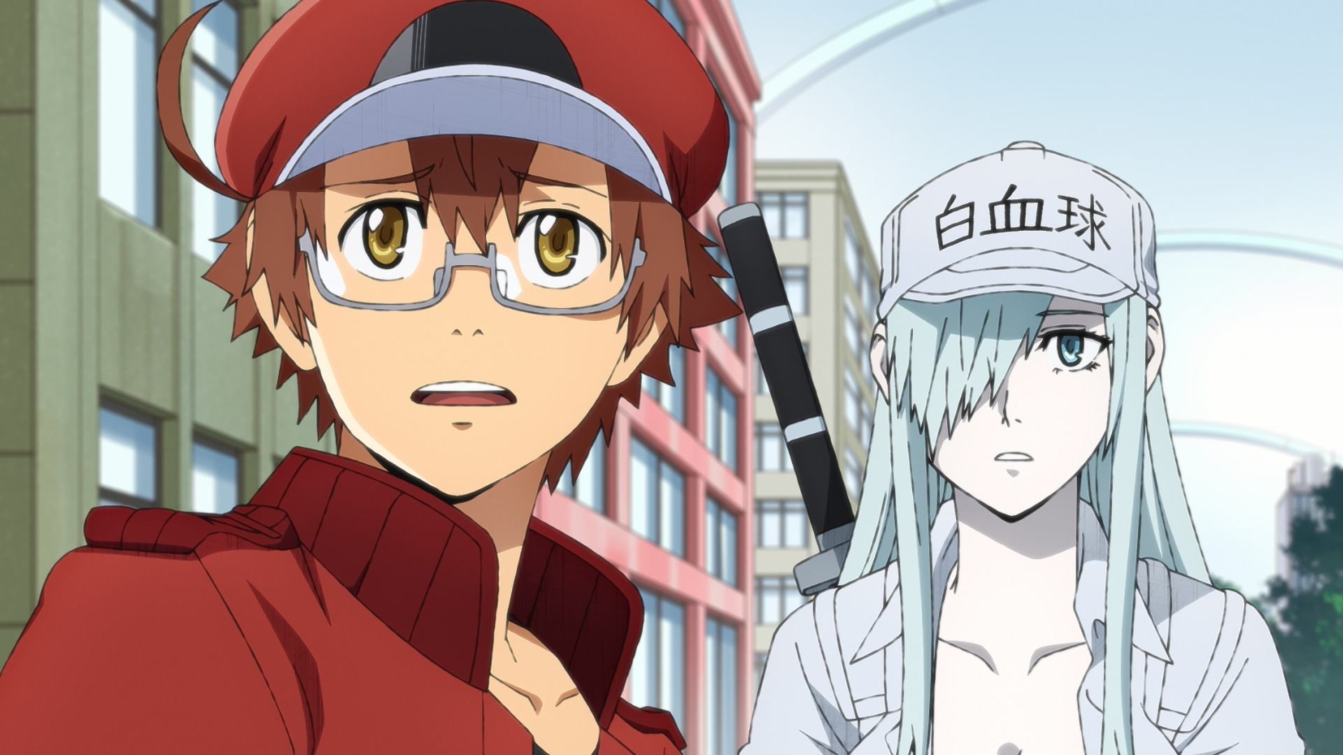 Hataraku Saibou Phần 2