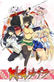 Senran Kagura (Phần 1)